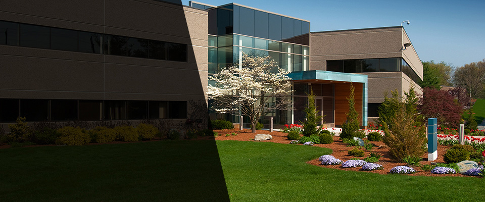 Port Byron Landscapers